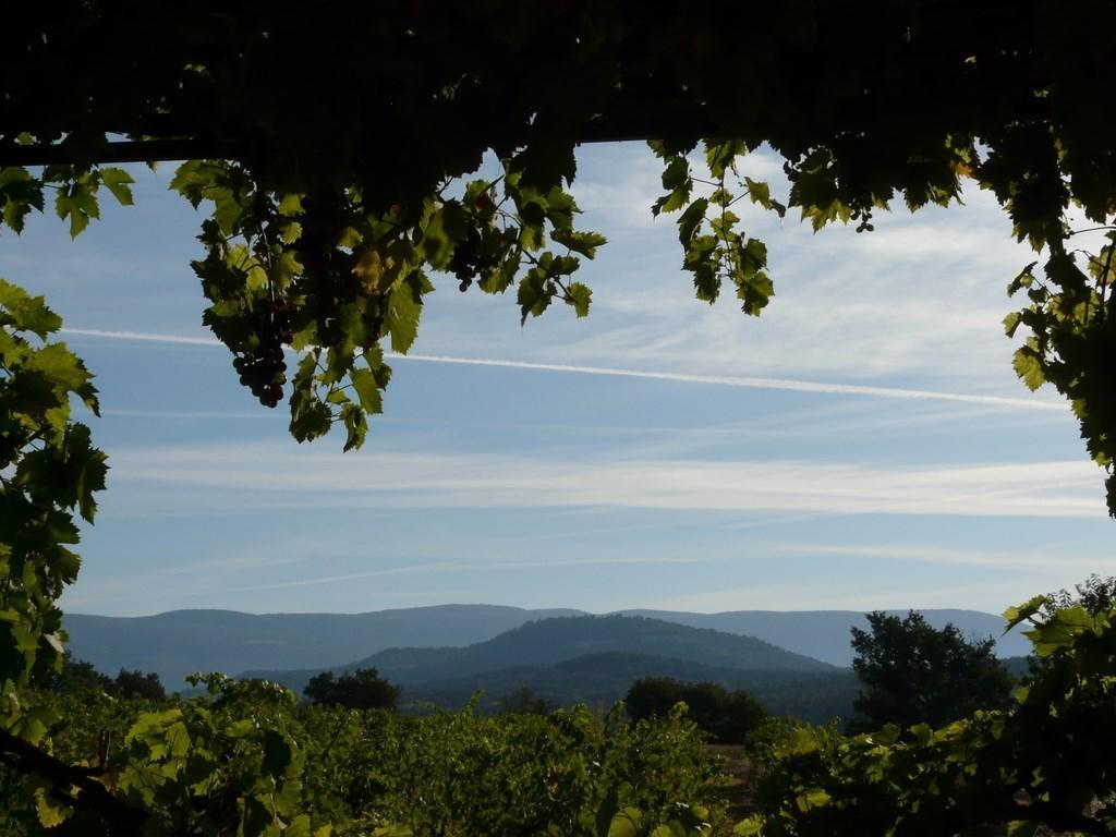 Lou Amourie Roussillon (Vaucluse) Exterior foto
